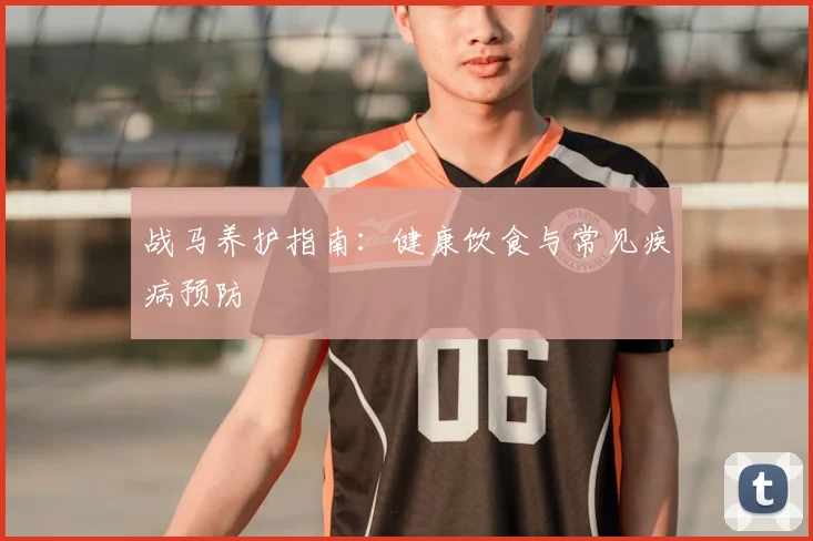 战马养护指南：健康饮食与常见疾病预防