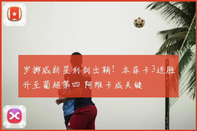 岁挪威新星利剑出鞘！本菲卡3连胜升至葡超第四 阿维卡成关键
