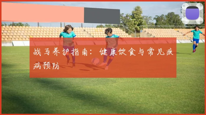 战马养护指南:健康饮食与常见疾病预防